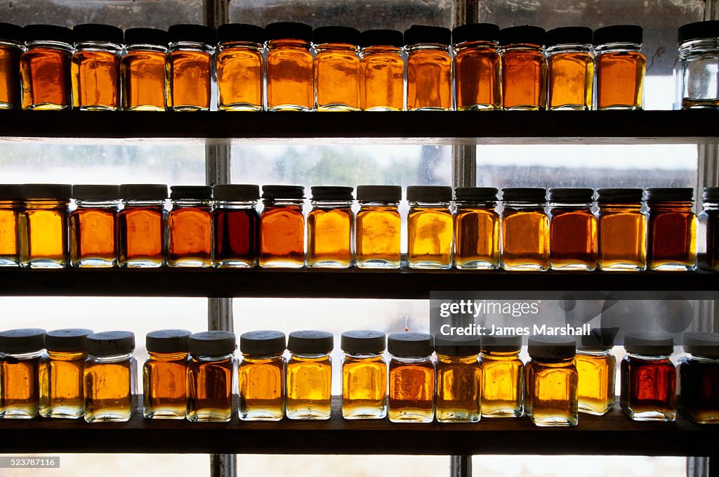Sample Bottles of Maple Syrup