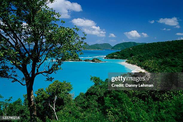 overlook above trunk bay - trunk bay bildbanksfoton och bilder