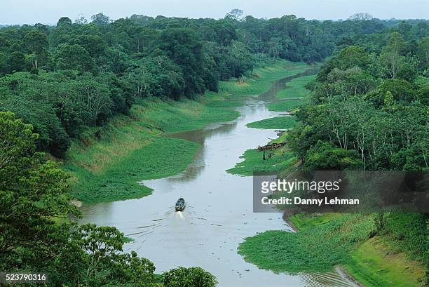 motor boat traveling along jungle river - amazonas state brazil stock pictures, royalty-free photos & images