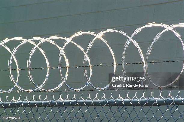 razor wire - razor wire stock pictures, royalty-free photos & images