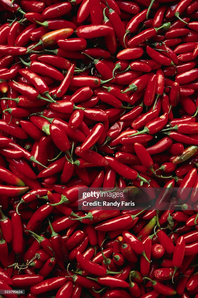 Abundance of Red Chilies