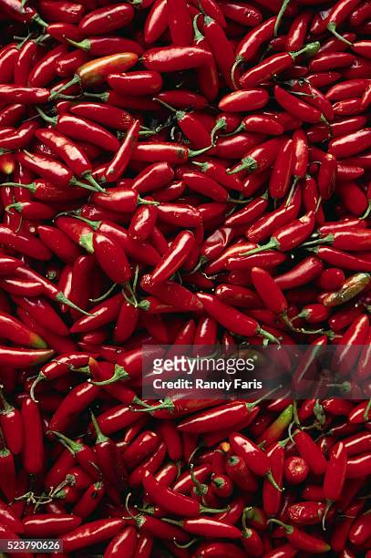 abundance of red chilies - mexican food stock-fotos und bilder