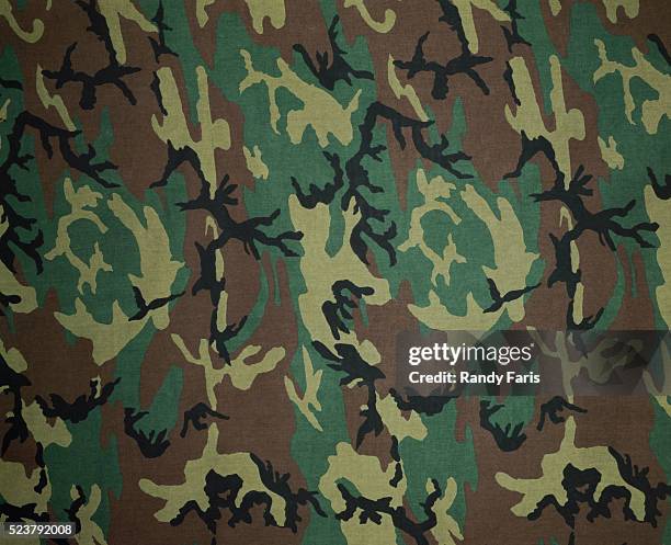 jungle camouflage print - camouflage fotografías e imágenes de stock