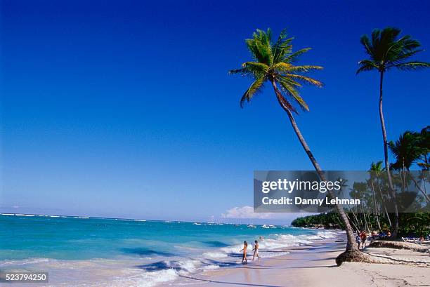 tourists and palm trees on bavaro beach - punta cana stock pictures, royalty-free photos & images