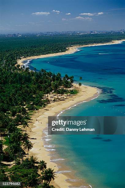 beaches of puerto rico's northside - porto rico imagens e fotografias de stock