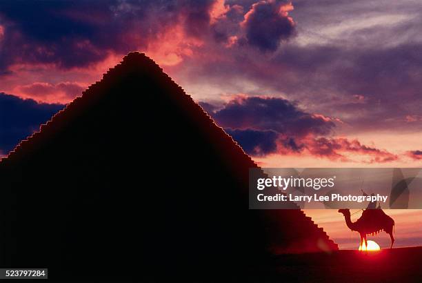 camel rider by great pyramid at sunset - cheopspyramide stock-fotos und bilder