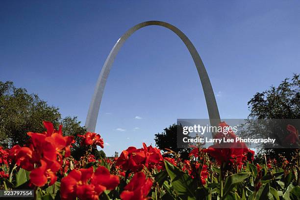 gateway arch in st. louis - gateway arch st louis stock pictures, royalty-free photos & images