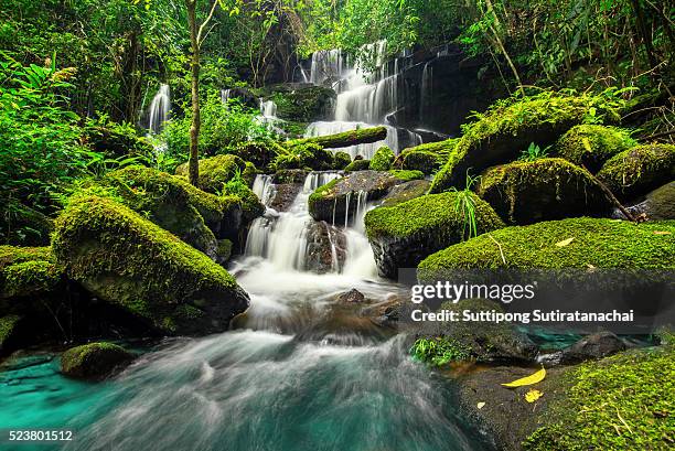 beautiful waterfall in green forest in jungle at phu tub berk mountain , phetchabun , thailand - waterfall fotografías e imágenes de stock