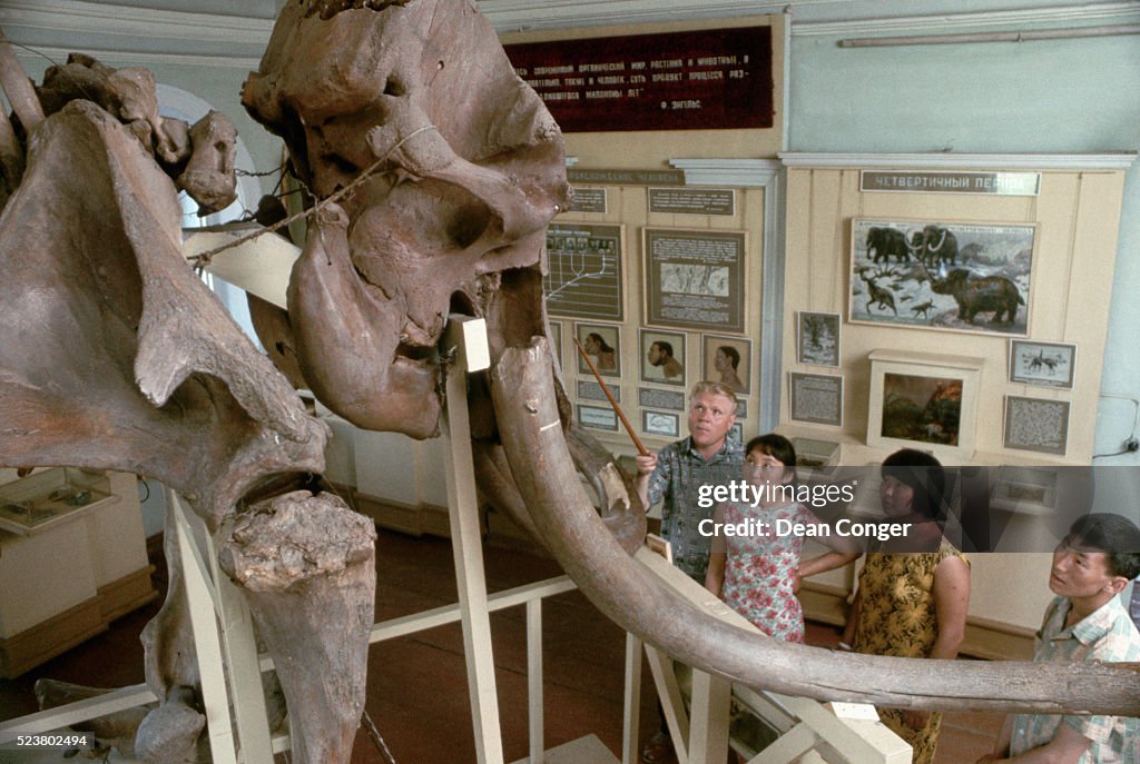 Mammoth Skeleton in Yakutsk Museum.