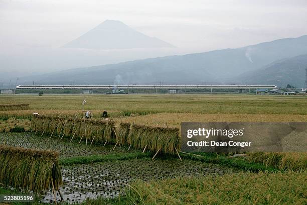 high speed train below mt. fuji - high speed train stock-fotos und bilder