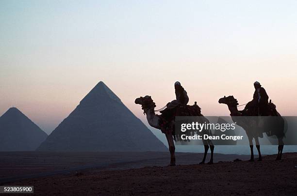 camel riders near pyramids at dawn - giza pyramids stock pictures, royalty-free photos & images