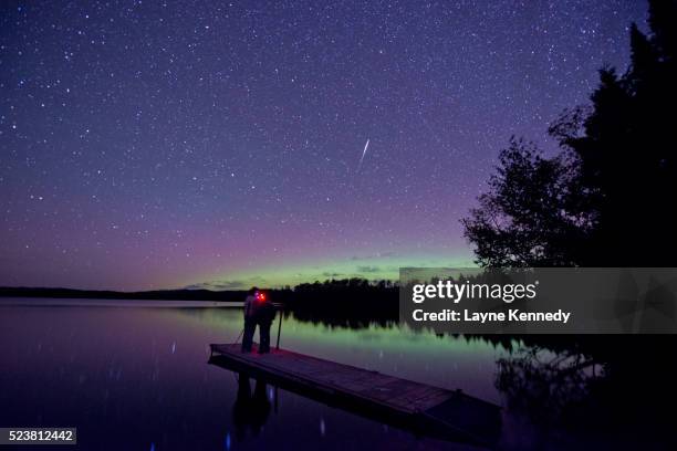 auroa borealis glows on the horizon in minnesota's superior national forest. - boundary waters canoe area stock-fotos und bilder