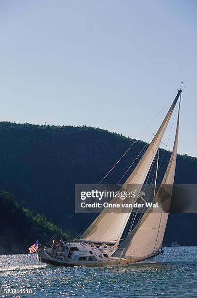 golden argosy sailing along sommes sound - argosy stock pictures, royalty-free photos & images