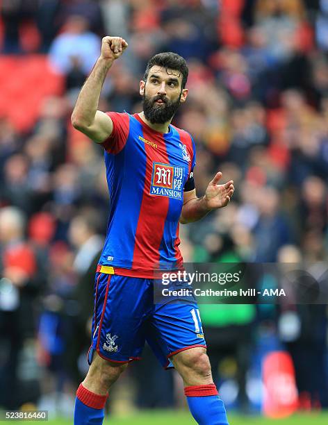 Mile Jedinak of Crystal Palace celebrates after The Emirates FA Cup semi final match between Watford and Crystal Palace at Wembley Stadium on April...