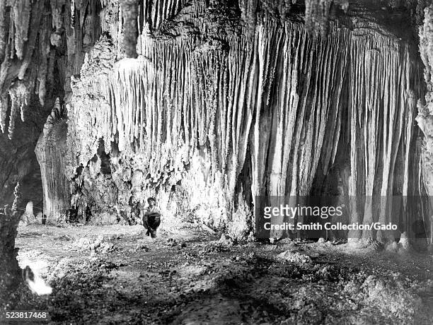 View inside Carlsbad Caverns National Park, New Mexico, showing a wall in the chambers known as Shinav's Wigwam . The stalactites have grown together...