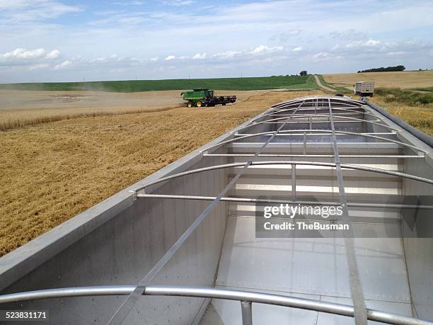 agriculture tech - winter wheat harvest stockfoto's en -beelden