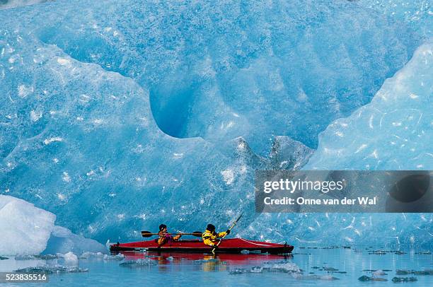 sea kayaking along bear glacier - 氷河 ストックフォトと画像