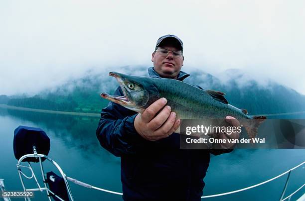 fisherman holding chinook salmon - chinook stock pictures, royalty-free photos & images