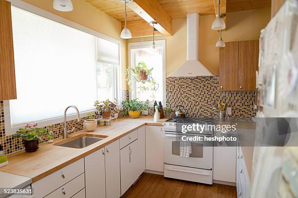 kitchen cleaned with green cleaning products - heshphoto - fotografias e filmes do acervo