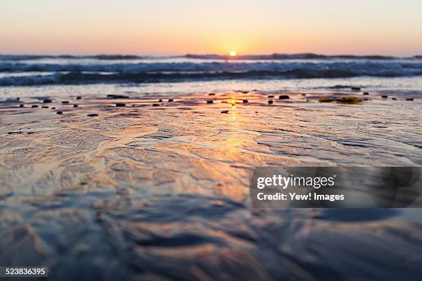 beach at encinitas, california, usa - low tide stock pictures, royalty-free photos & images