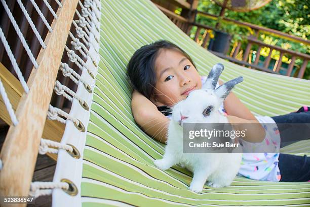 young asian girl on hammock with pet rabbit - pet rabbit stock pictures, royalty-free photos & images