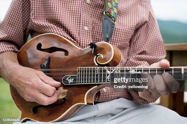 mature man playing mandolin, mid section, close-up - mandolino foto e immagini stock