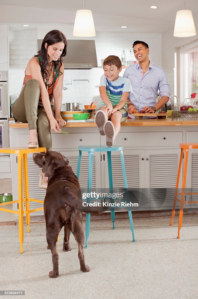 Woman sitting on kitchen counter feeding dog