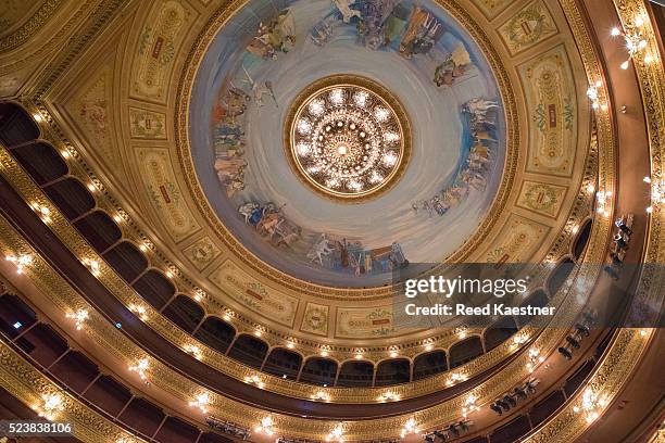 one of buenos aires' finest landmarks, the grand teatro col��n - buenos aires art stock pictures, royalty-free photos & images