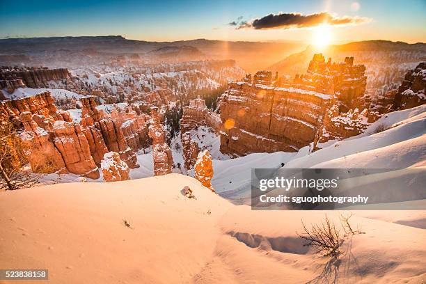 bryce canyon national park sunrise - sunset point stock pictures, royalty-free photos & images