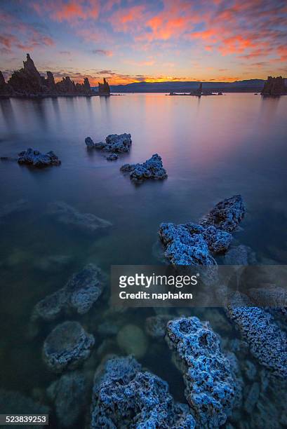 sunrise at mono lake - monosjön bildbanksfoton och bilder