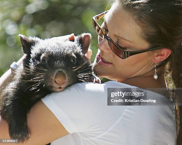 Her Royal Highness Crown Princess Victoria of Sweden hugs a wombat while visiting Healesville Wildlife Sanctuary on March 14, 2005 in Melbourne,...