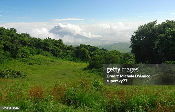 green landscape among the volcanoes. - ol doinyo lengai stock pictures, royalty-free photos & images