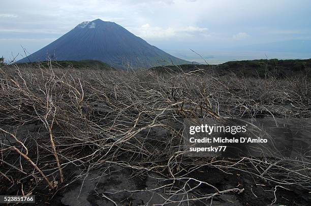 mighty oldonyio lengai above the ash desert. - ol doinyo lengai stock pictures, royalty-free photos & images