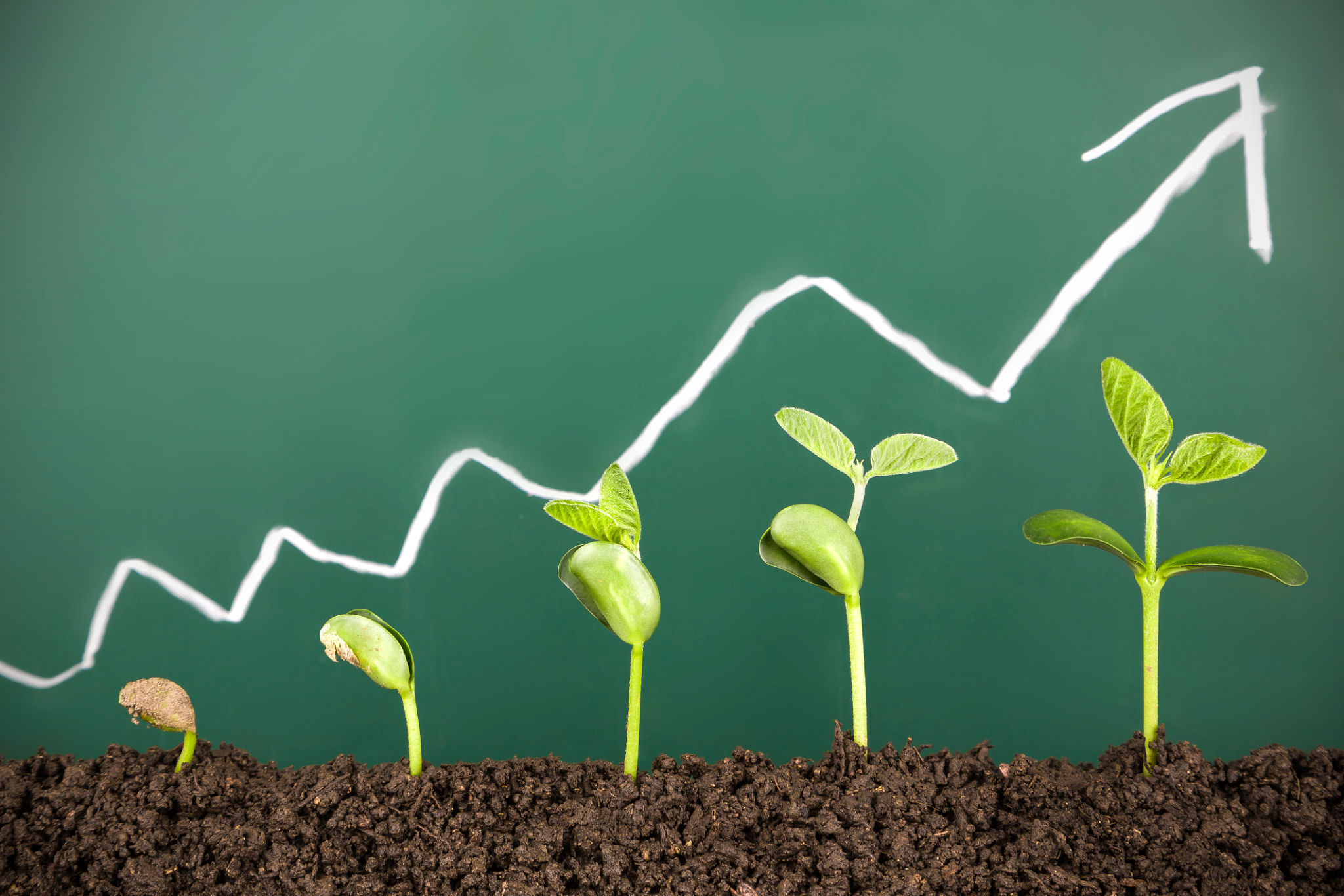 scalable business growth