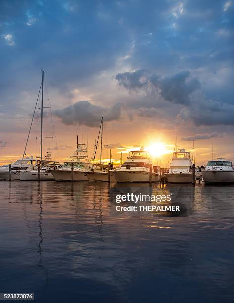 miami marina - marina stockfoto's en -beelden