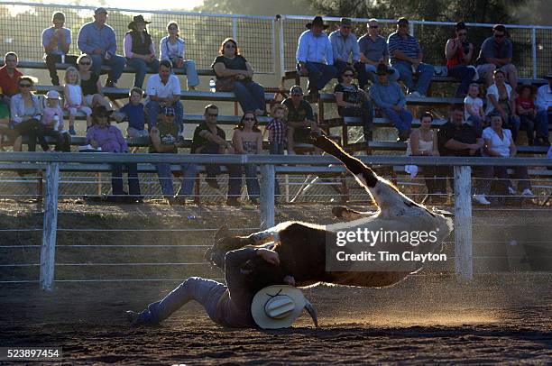Muswellbrook Rodeo 291 Muswellbrook New South Wales Photos & High Res Pictures - Getty Images