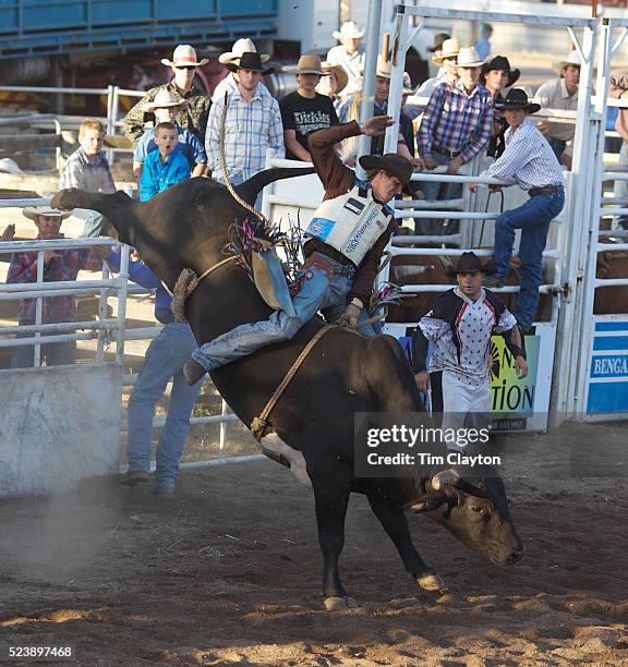 Muswellbrook Rodeo 291 Muswellbrook New South Wales Photos & High Res Pictures - Getty Images