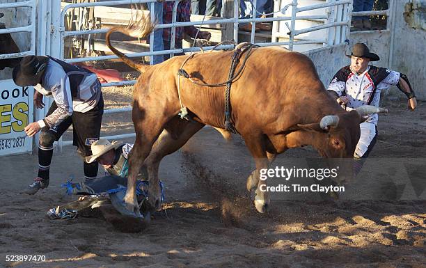 Muswellbrook Rodeo 42 Muswellbrook Location Photos & High Res Pictures - Getty Images