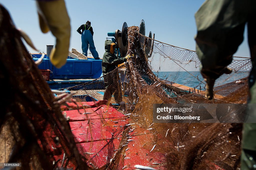 Anchovy Fishing In South Korea Ahead Of Preliminary GDP Figures