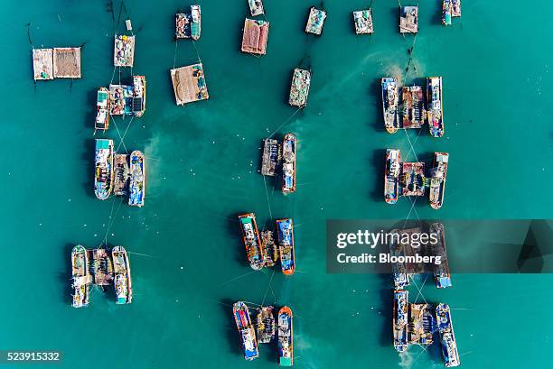 Fishermen separate anchovies from a net on a barge moored between two fishing boats in this aerial photograph above Mijo port in Namhae, South Korea,...