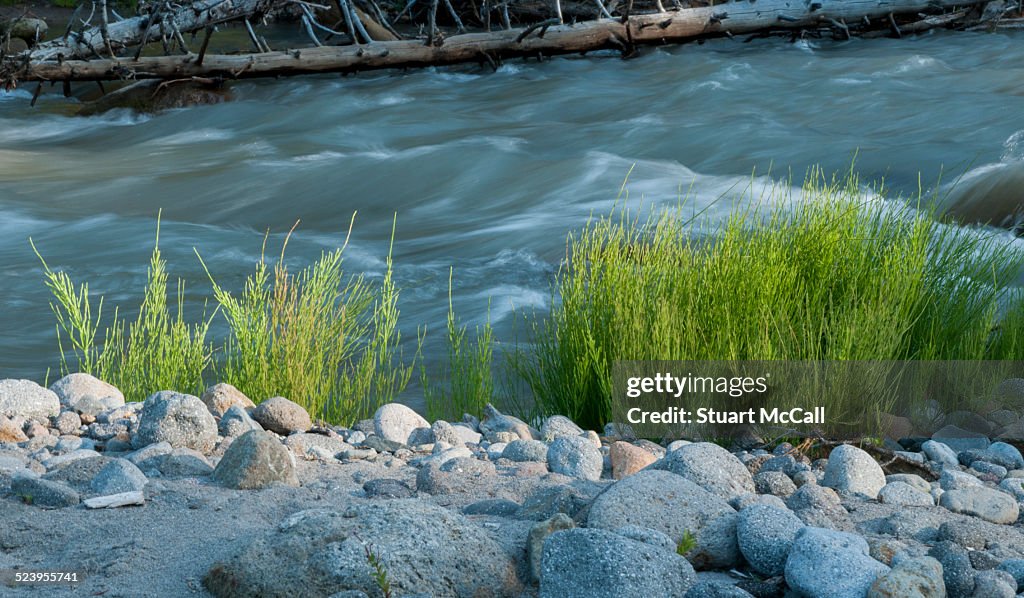 Swift flowing river