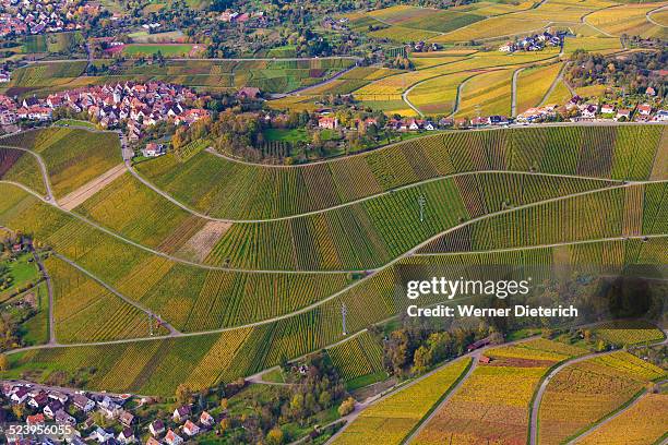 vineyards near rotenberg district in stuttgart - stuttgart village stock pictures, royalty-free photos & images