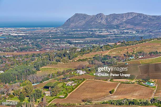 wine growing area of constantia - constantia stock-fotos und bilder