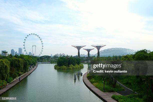 garden by the marina bay - singapore flyer stock-fotos und bilder