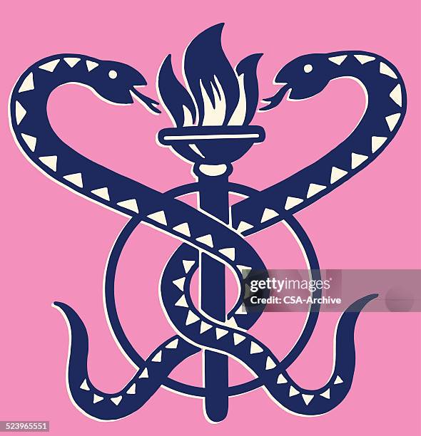 illustrazioni stock, clip art, cartoni animati e icone di tendenza di scale entwined in una torcia - vipera