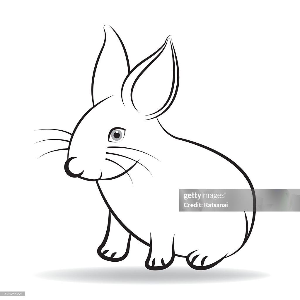 Rabbit High-Res Vector Graphic - Getty Images