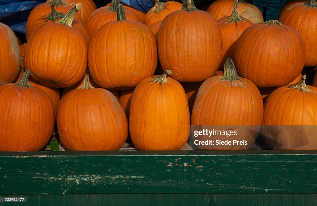 Pumpkins at farmer's market