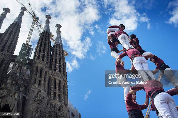 Castellers de la Vila di Gracia" do their show in front of La Sagrada Familia in Barcelona on April 17, 2016. Castells are a 200-years-old Catalan...