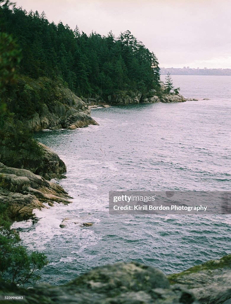 Pacific Northwest landscape