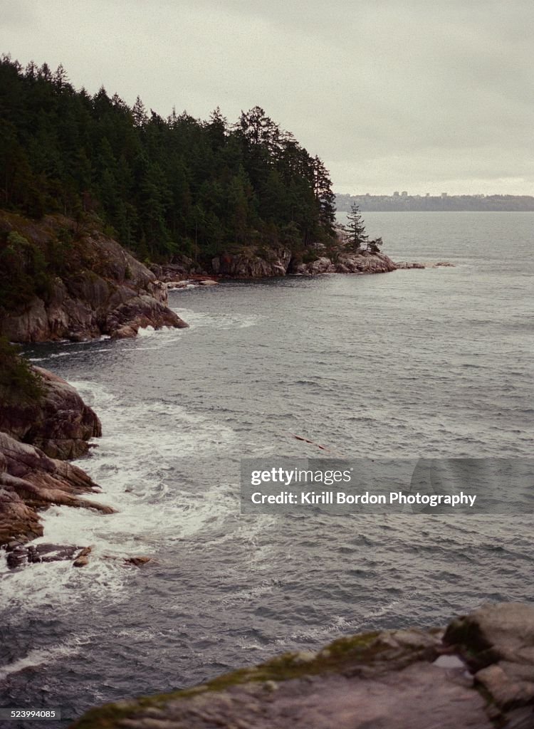 Pacific Northwest Landscape